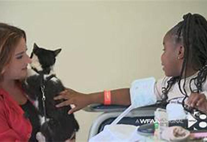 cat therapy
