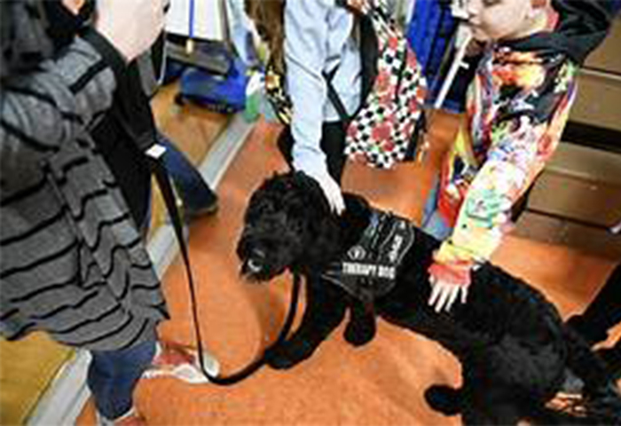 dog therapy