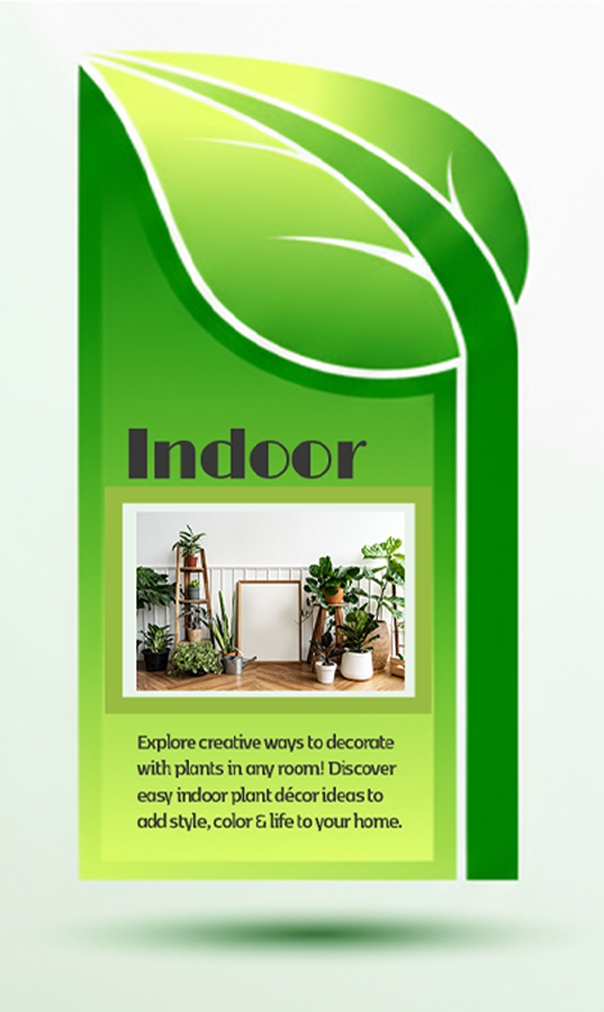 indoor plant projects