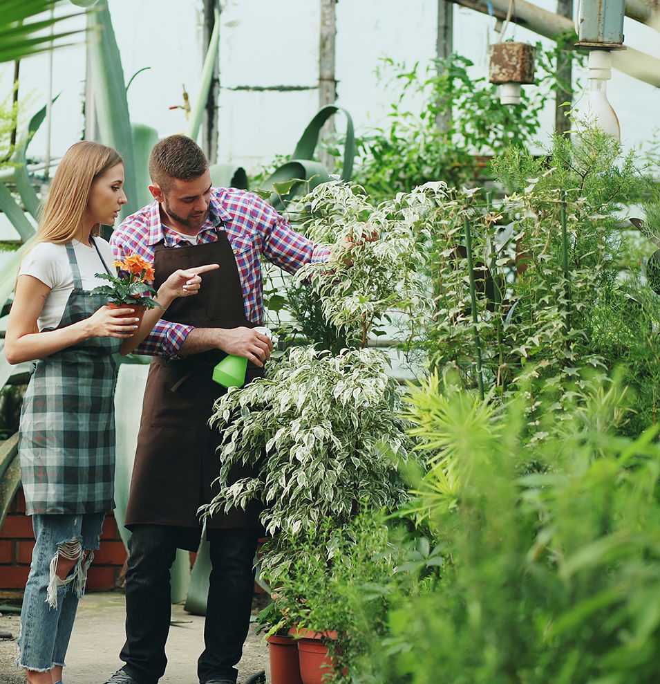plantempoiumstaff- Nursery Staff